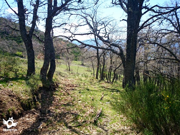Salida del bosque a la majada