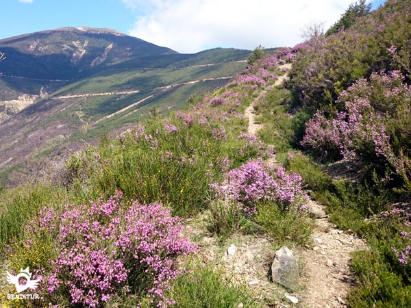 Un magnífico paisaje descendiendo el barranco de Rigüelo