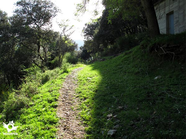 Pasmos junto al depósito de agua