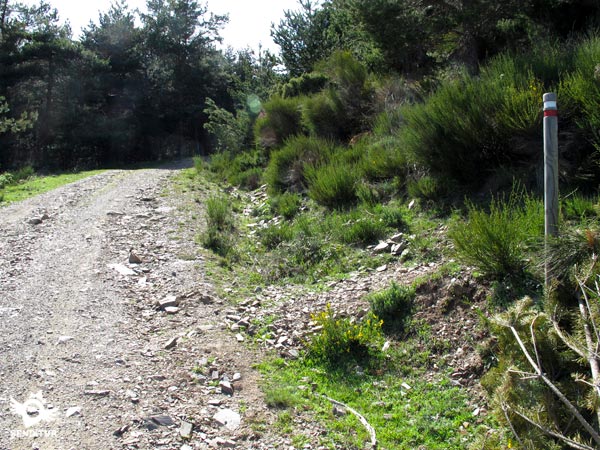Desvío donde se inicia la senda