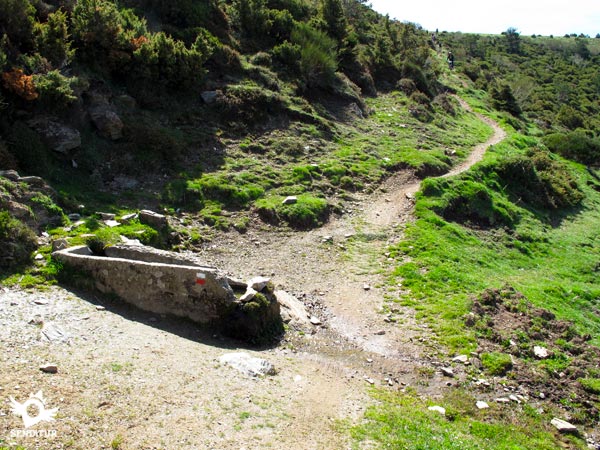 Abrevadero