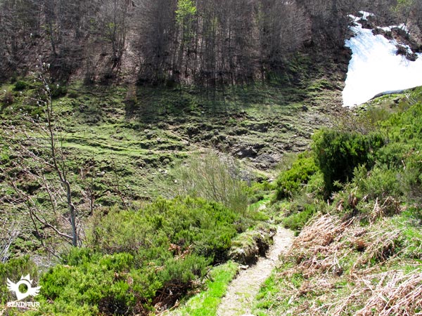 Stream in the ravine of Campos Largos