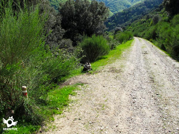 El desvío algo oculto de la senda que baja hacia Valvanera