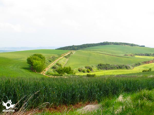 Road from San Millán to Villar de Torre