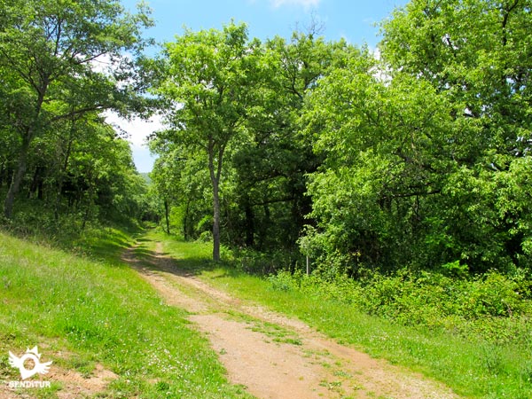 Road to follow, the sign is almost not seen until you are on the road, in the photo you will see the sign post to the right a little before reaching the shaded area.