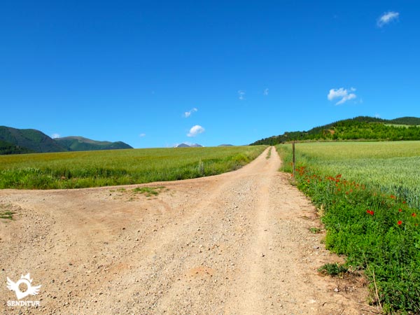 We continue along the main road