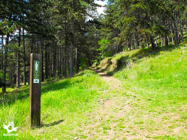 Footpath to Suso