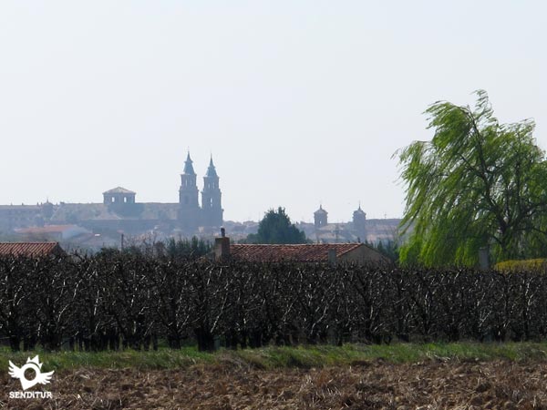 Path of the Groves from Alfaro