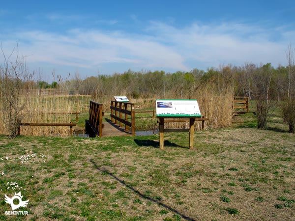 The arboretum