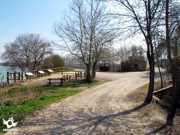 The viewpoint and the paths leading from it