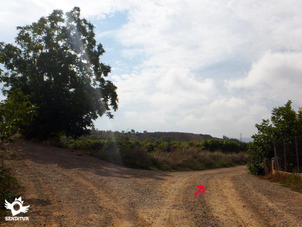 Seguimos la pista principal sin desviarnos en ningún cruce