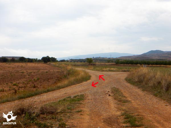 Momento de decidir que camino seguimos