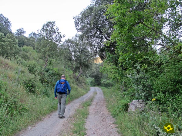 Seguimos el camino sin dejarlo por ahora