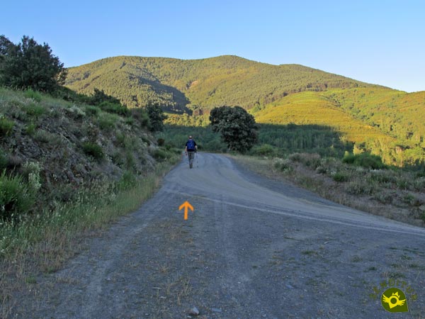 Salimos a una amplia pista