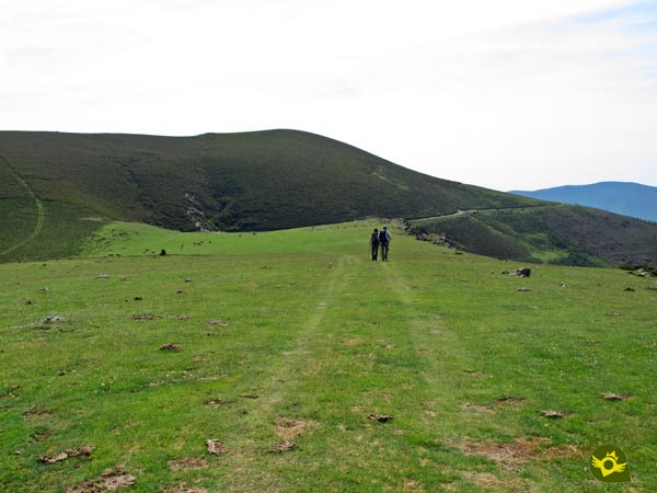 Atentos a las marcas de la ruta