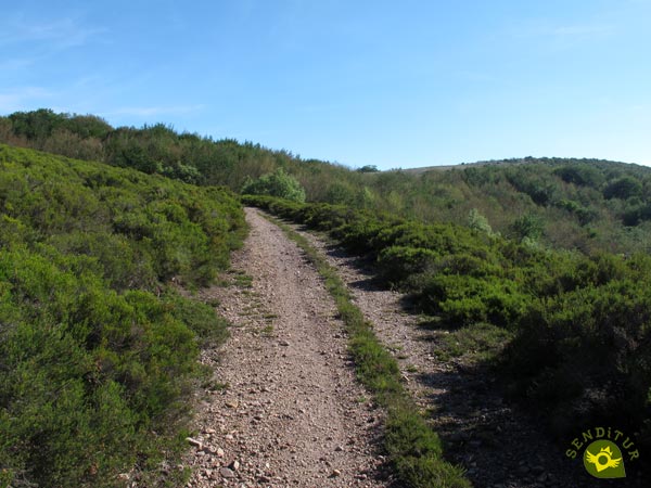 Caminamos ya fuera del bosque
