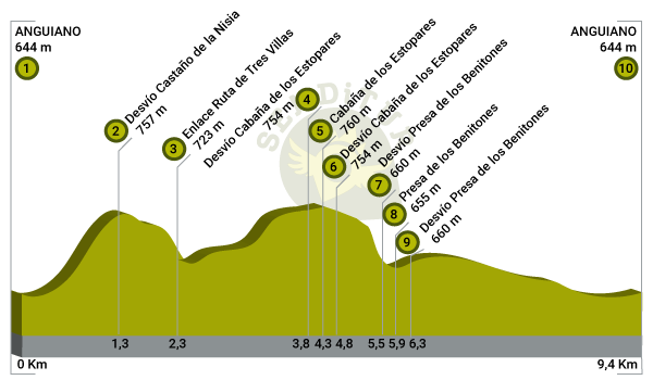 Profile of Path The Holm oaks