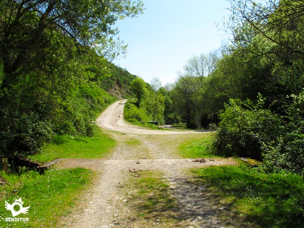 Nos encontramos con la pista que baja desde el monasterio