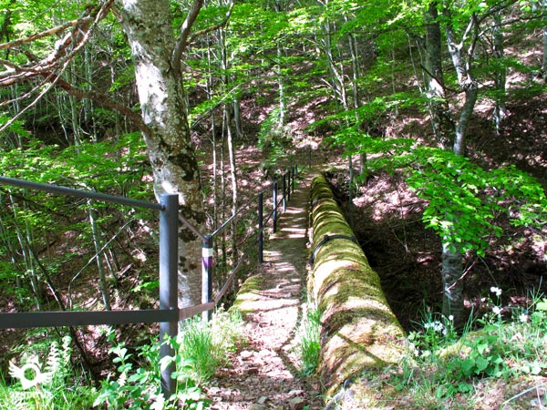 El sendero cruza varios puentes