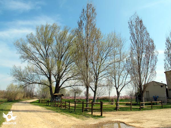 Recreational area