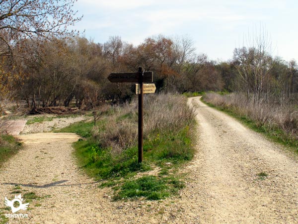 Detour to Grove of thel Estajao