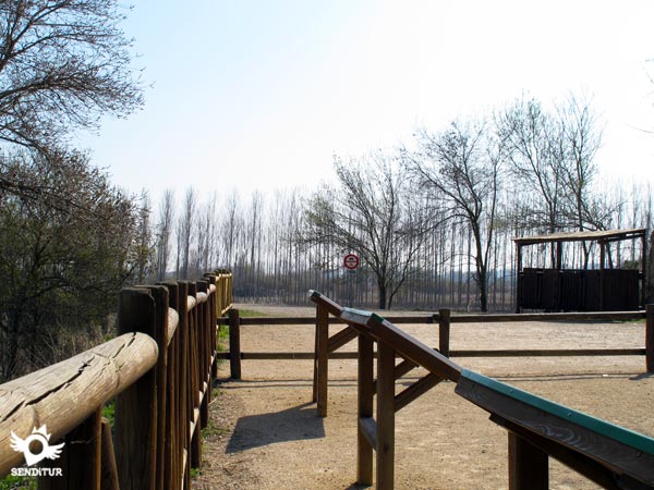 Viewpoint of Grove of the Nava
