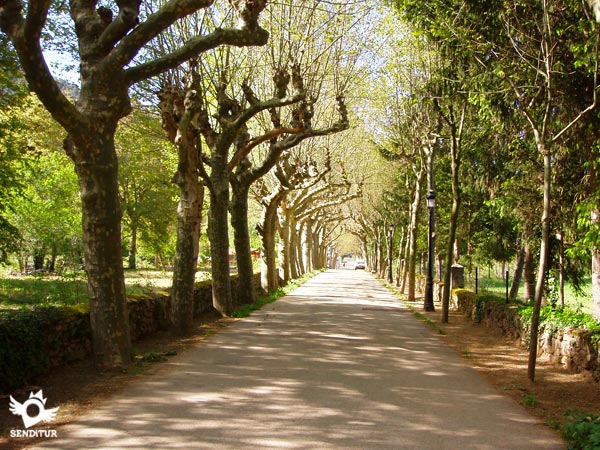 Greenway of the Oja, section 2 St º Domingo de la Calzada-Ezcaray