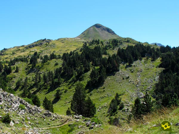 Peak Arlas