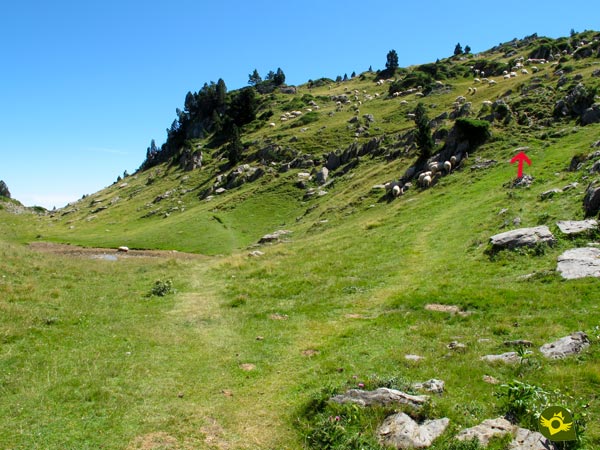 Even if it doesn't look like it, the path is still there. 