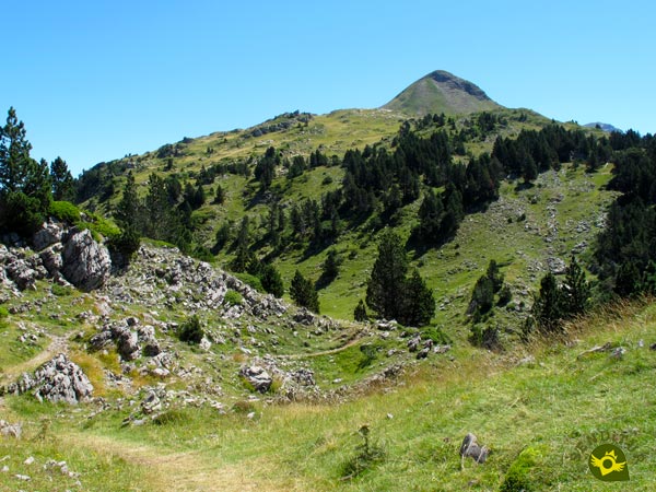 The trail is easy to follow