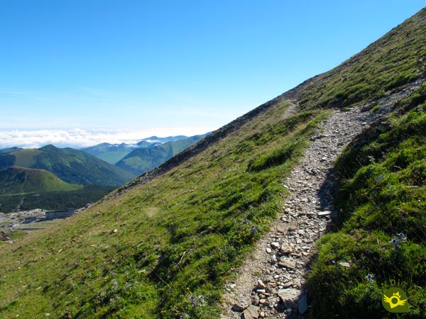 The slope softens in part