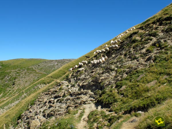 The slope of the slope forces us to be attentive