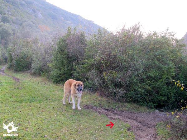 A la derecha tenemos la ermita. Por cierto nuestro amigo se llama Tarzán