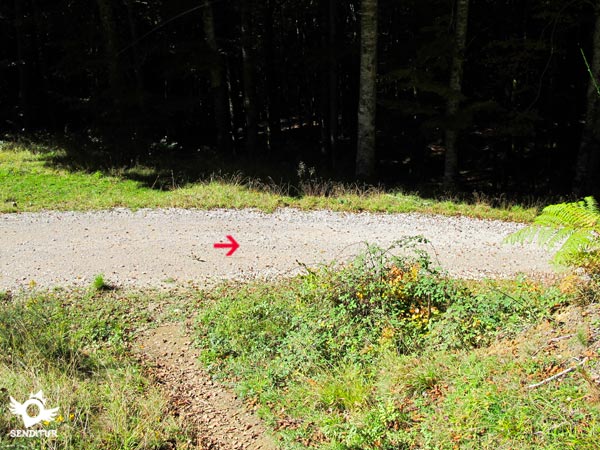 Seguimos la pista por la derecha